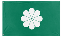 taiwan flag (tom)