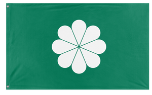 taiwan flag (tom)