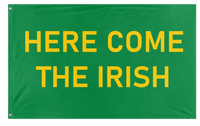 Here Come the Irish flag (Zahm)