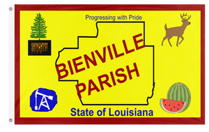 Bienville Parish flag (Louisiana)
