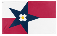 NC Revision History and Progress flag (919Fuego)