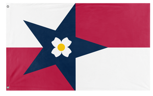 NC Revision History and Progress flag (919Fuego)