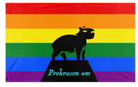 Beautiful Mind flag (Me)