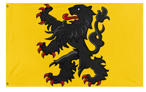 County of Flanders flag (Whoever made this back in the day)