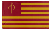Baumer Hall flag (Will)