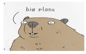 Big Plans flag (Lucas Madia)