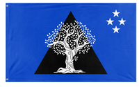 Banyas Family flag (Carey Banyas)