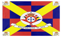 XIX Regiment flag (David V)