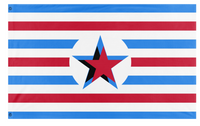 Blue Star of Democracy flag (PG)