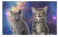 Space Cats Magic Fly flag (Cheebong22)
