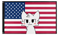 american boykisser flag (kiyoshi)