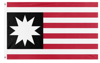United Americas flag (Alien)