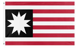 United Americas flag (Alien)