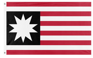 United Americas flag (Alien)