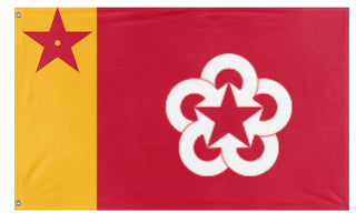 Leauge of Socialist Nations flag (DT)