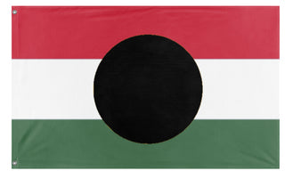 Hungarian Uprising 1956 flag (DT)