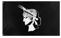Anti-Authoritarian flag (Unknown)