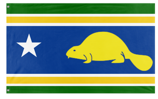 A custom flag with horizontal stripes of green, yellow, and blue, featuring a white star and a yellow beaver in the center.