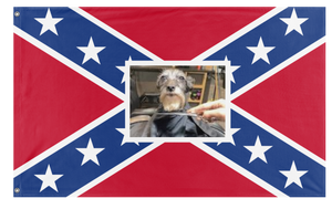 Looking Spiffy Uh flag (Cooper)