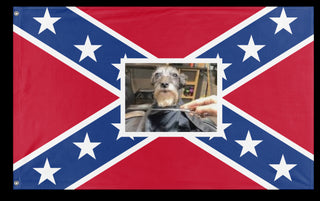 Looking Spiffy Uh flag (Cooper)