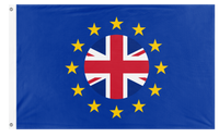 UK in EU flag (Tom H)