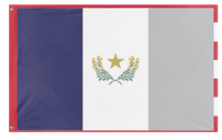 redesigned Nevada state  flag (Sussy Floppa )