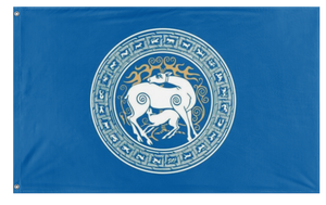 TSU flag (Irakli Tcintcharauli)
