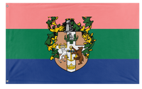 National pride of UFPI flag (Luke and Hailey)