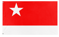 White Star Movement flag (Leon S.)