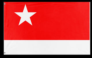 White Star Movement flag (Leon S.)