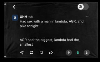 Chisholm Shack flag (Chizz) (Hidden)