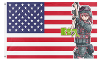 teto flag (mepleem)