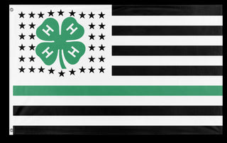 4-H US Flag (Gallatin) (Hidden)