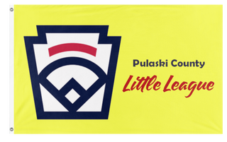 Softball Little League flag (Sam Price)