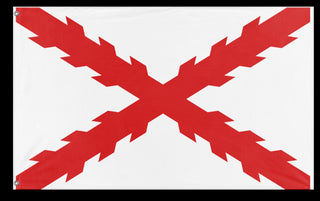 Cross of Burgundy flag (Ayesha Ashraf)