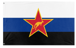 undefined flag (undefined)
