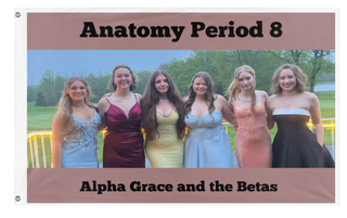 Anatomy flag (andrea )