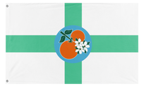Florida Redesign flag (elbasy)