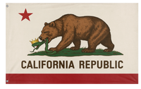 Don't Tread on Us flag (JED)