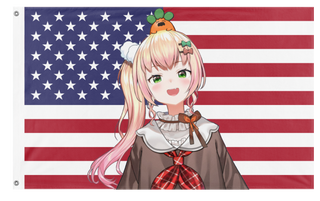 USNene flag (undefined)
