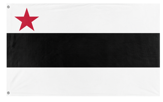 Inner SW flag (David V) (Hidden)