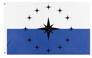 Flag with black star design on a white and blue background