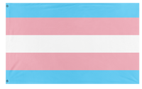 A mockup of the custom flag 'Trans flag' on a white background