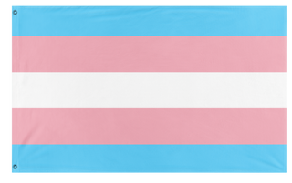 A mockup of the custom flag 'Trans flag' on a white background