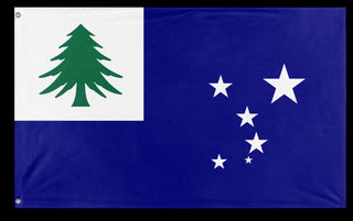 A mockup of the custom flag 'test flag' on a white background