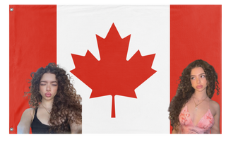 A mockup of the custom flag 'jerebear flag' on a white background