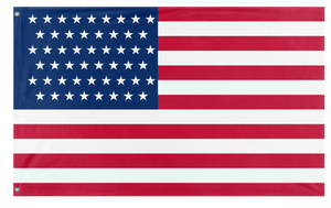A mockup of the custom flag '51-Star Flag' on a white background