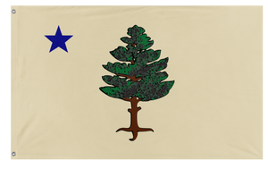 A mockup of the custom flag '1901 Maine Flag' on a white background