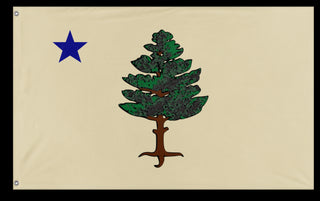 A mockup of the custom flag '1901 Maine Flag' on a white background