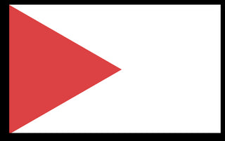 A mockup of the custom flag 'test flag' on a white background